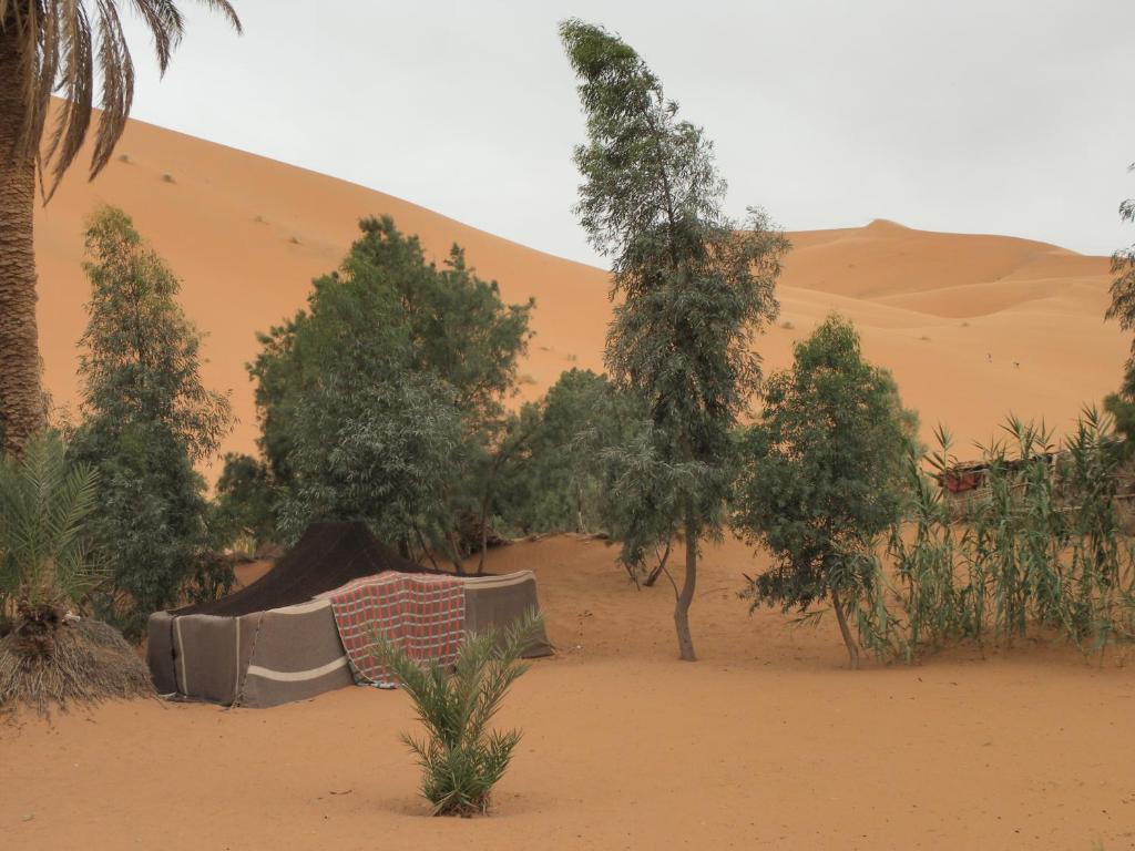 Chez Tonton Hotell Merzouga Eksteriør bilde